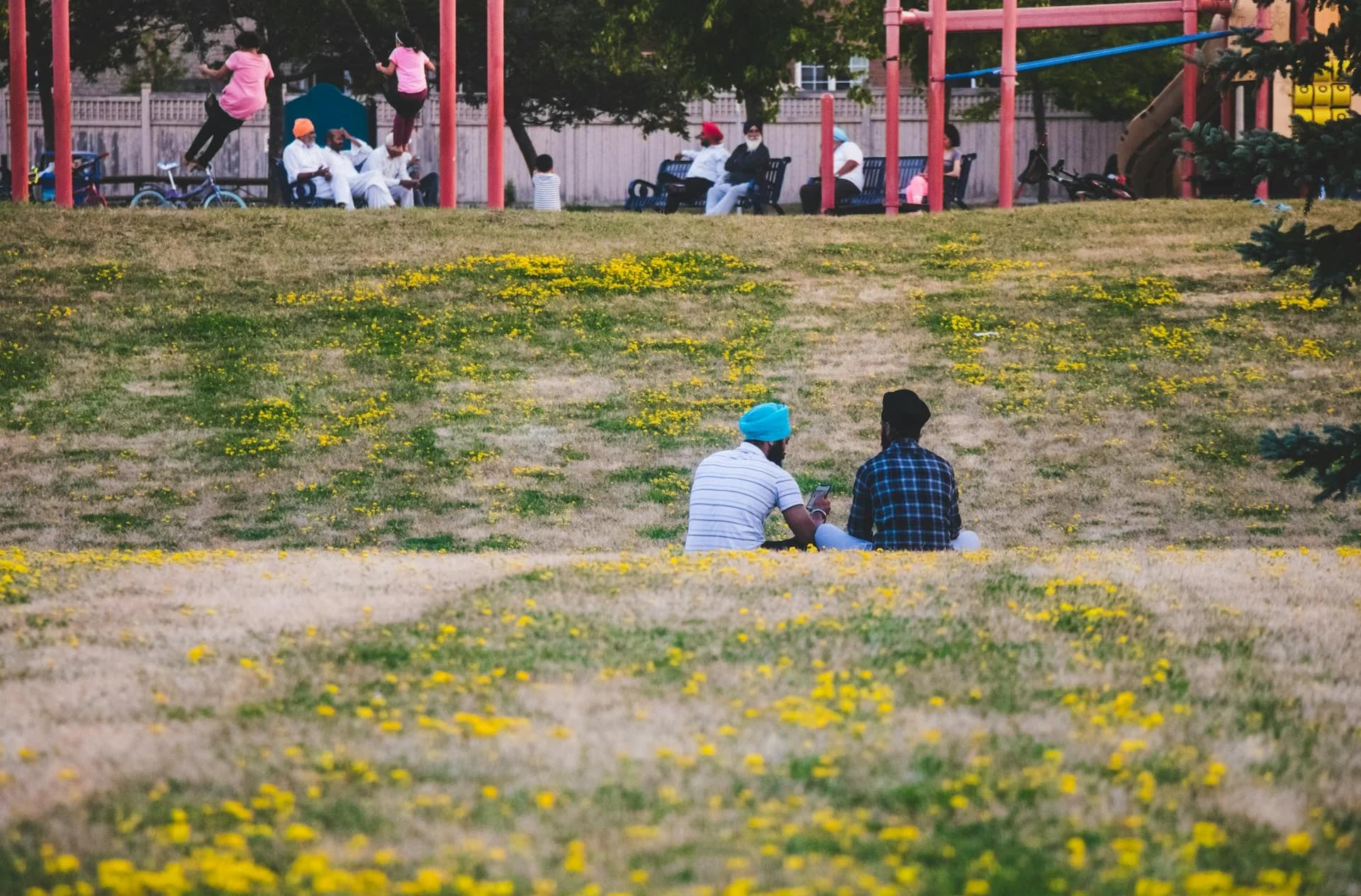 Peaceful afternoon in a vibrant park in Brampton Ontario