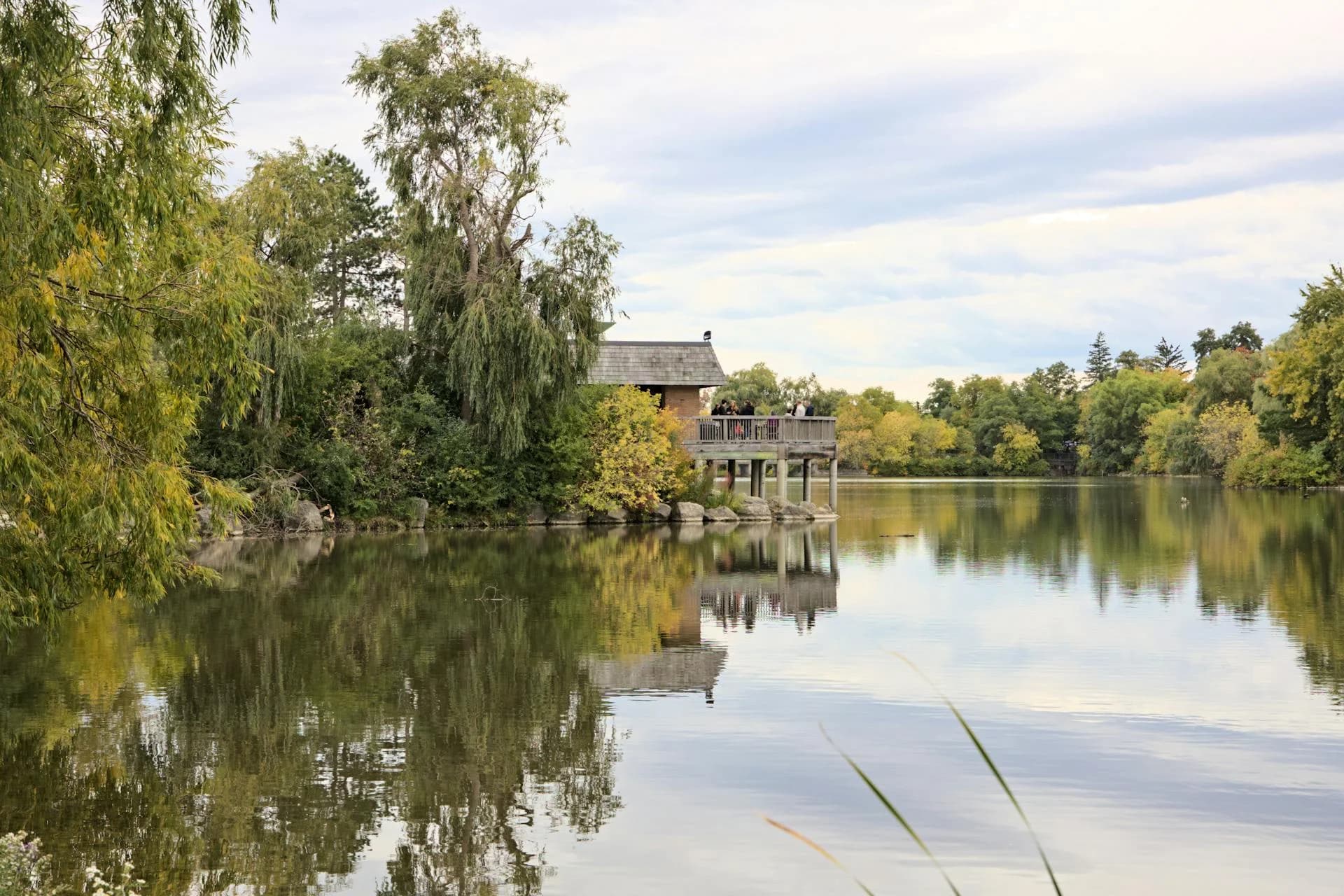 Tranquil lake surrounded by lush greenery in Markham Ontario